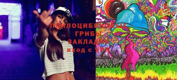 прущие грибы Алексеевка