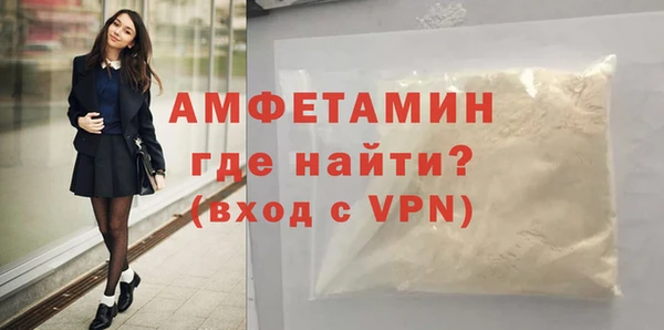 мет Алексин