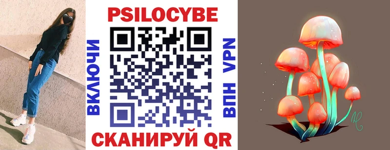 Псилоцибиновые грибы прущие грибы купить наркотики сайты Димитровград